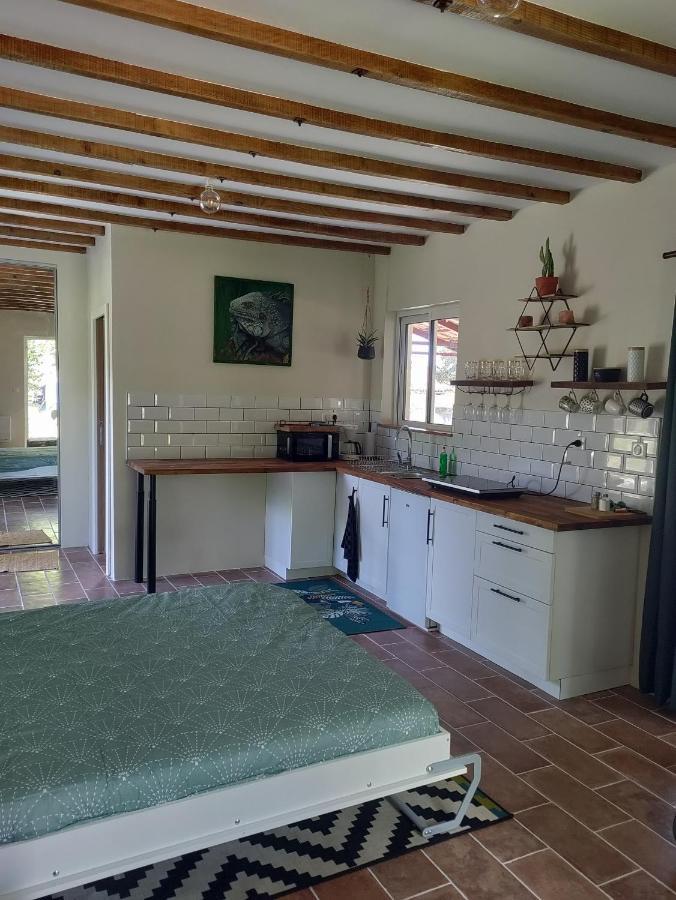 Chez Chapelle In The Heart Of The Gascony With Pool And Hot Tub Lägenhet Auch Exteriör bild