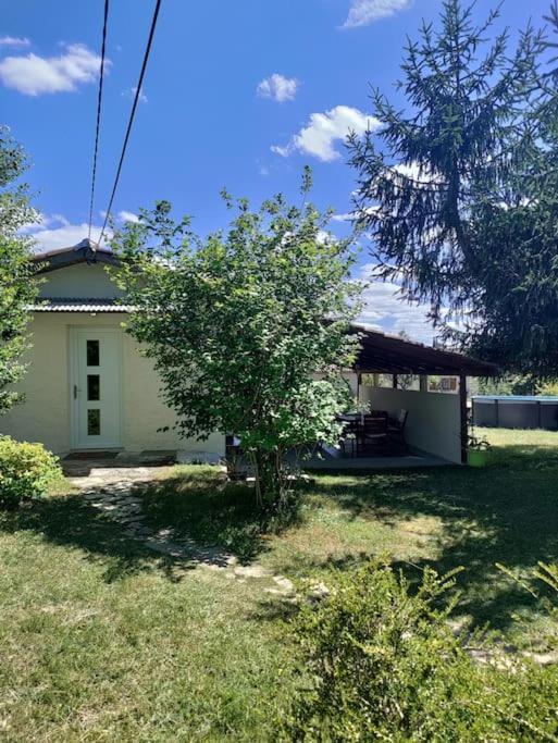 Chez Chapelle In The Heart Of The Gascony With Pool And Hot Tub Lägenhet Auch Exteriör bild