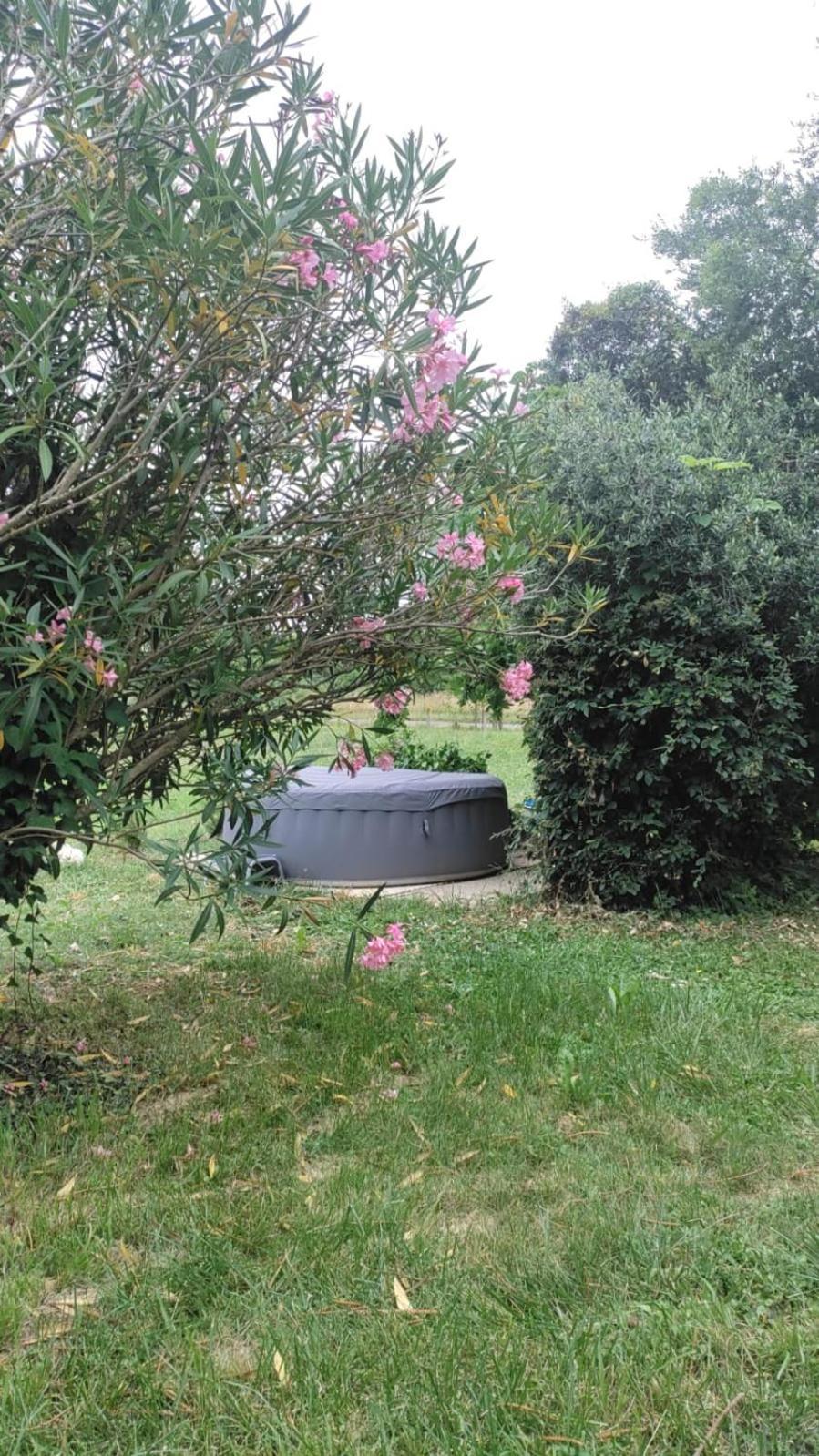 Chez Chapelle In The Heart Of The Gascony With Pool And Hot Tub Lägenhet Auch Exteriör bild